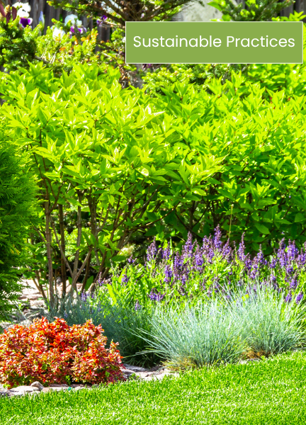 Garden Design West Lancashire